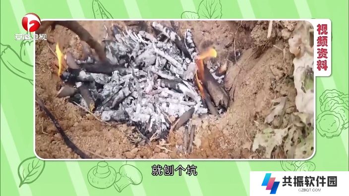小飞电视app最新版下载