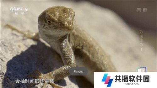 星火电视直播