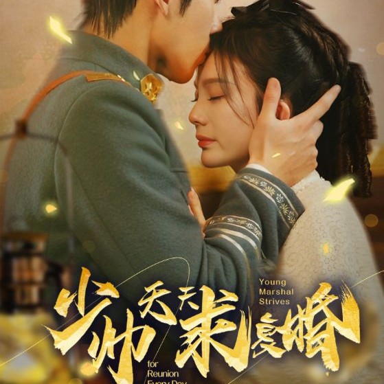 少帅天天求复婚短剧在线全集观看app下载(多多追剧)