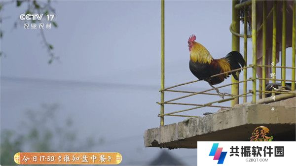 全能看tv