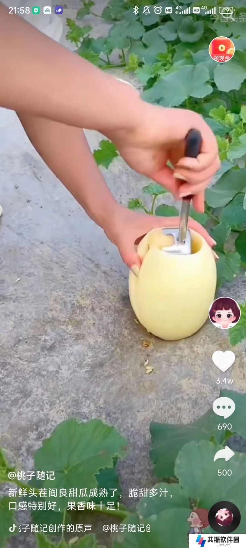 东猴短视频赚钱软件